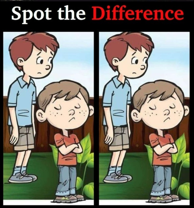 Think You Can Spot the Difference? This Puzzle Will Test Your Observation Skills!