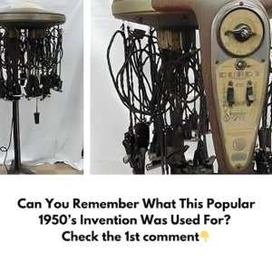 Can You Recall What This Is? If You’re Old Enough, You Might Recognize It. But Are You Aware of Its Intriguing History and Stories?