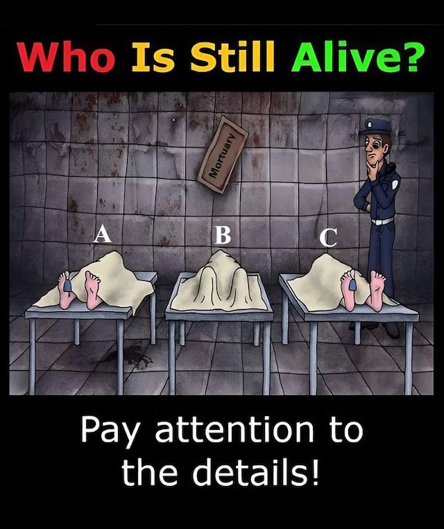 Who Is Still Alive? A Puzzle That Challenges Your Observation Skills