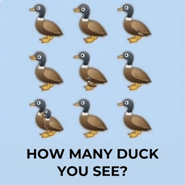 How Many Ducks Do You See? A Visual Puzzle Challenge