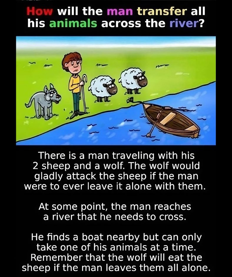 How Will the Man Transfer All His Animals Across the River? A Classic Puzzle Unraveled