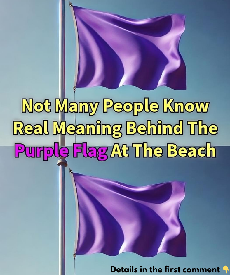 The Meaning of a Purple Flag at the Beach