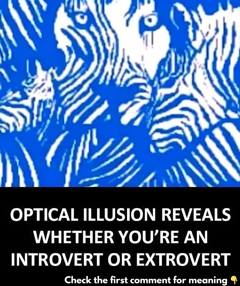 Optical illusion reveals whether you’re an introvert or extrovert