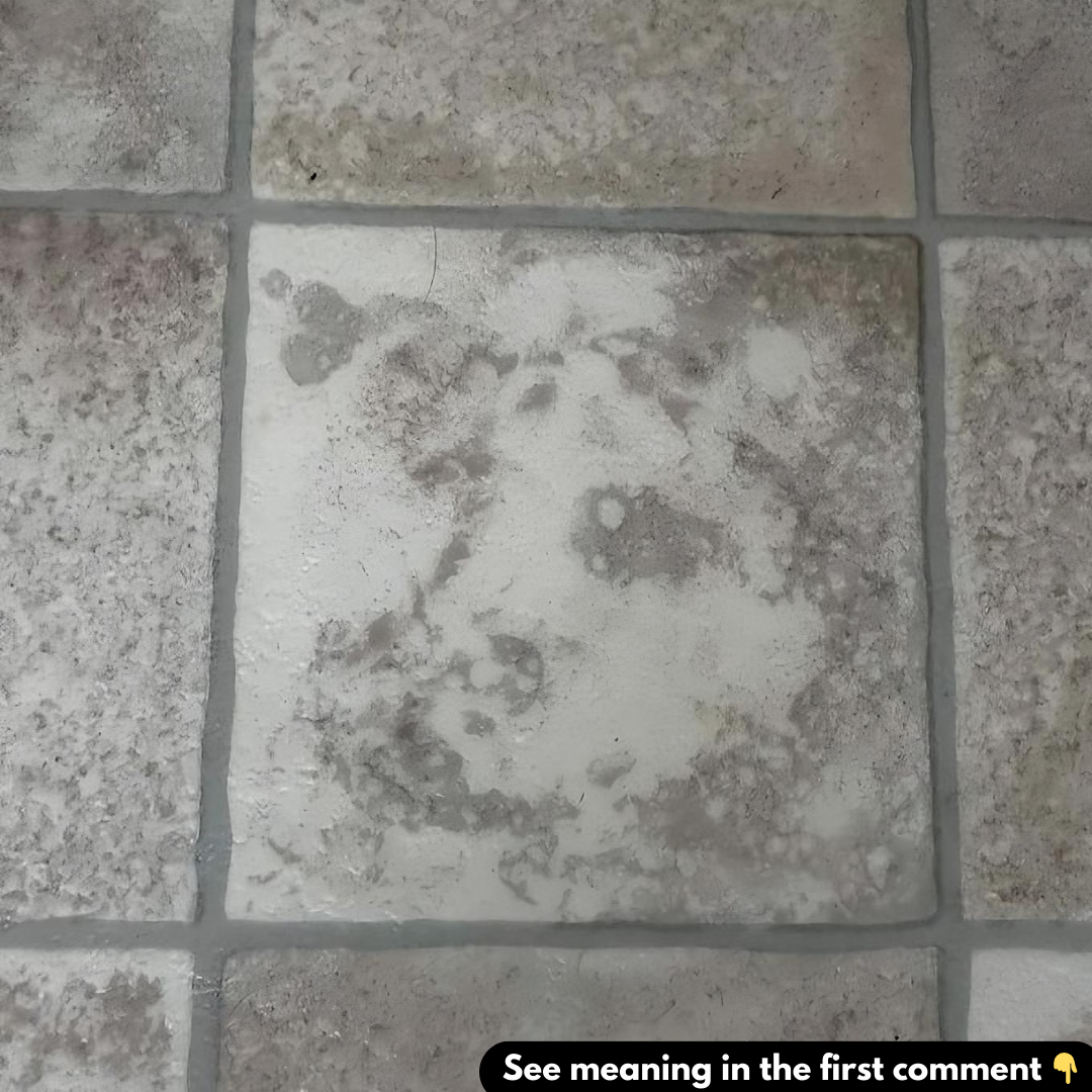 The Unexpected Art of Pareidolia: Finding Faces in Everyday Objects