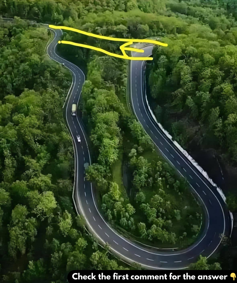 Unlock the Secrets of Curve Driving: How Winding Roads Keep You Safer on the Journey