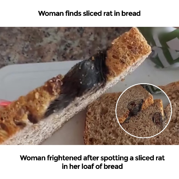 Woman frightened after spotting a sliced rat in her loaf of bread