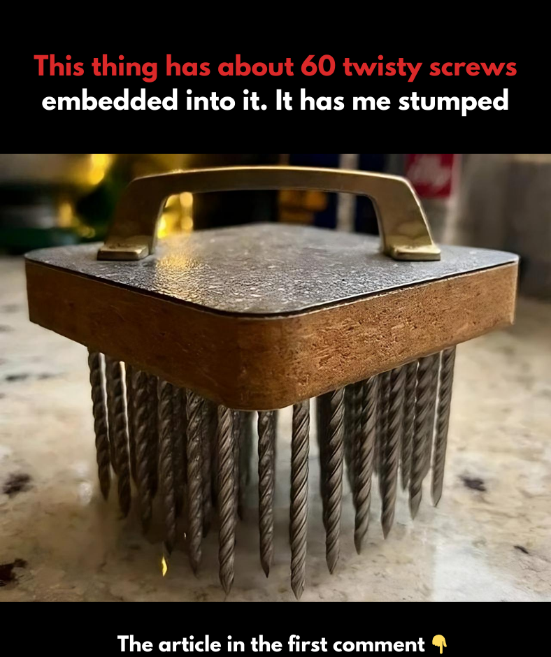 30 Times People Found Objects They’ve Never Seen Before And The Internauts Explained Their Purpose