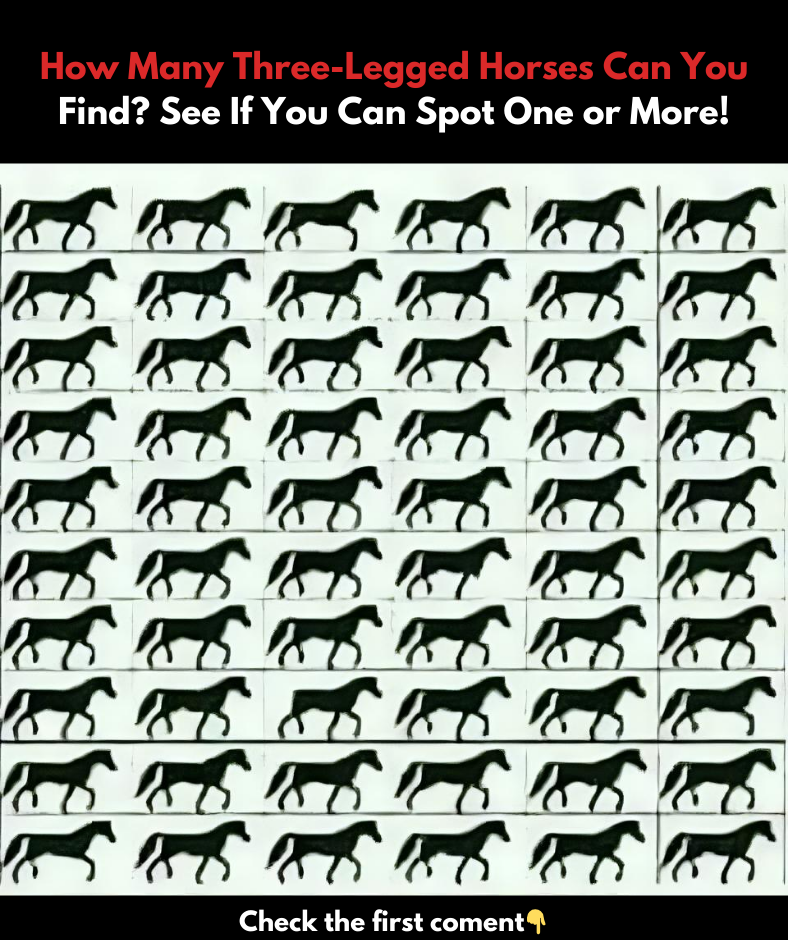 Can you identify any three-legged horses? See if you can find one or even several!