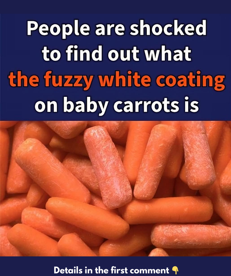 What The Fuzzy White Coating On Baby Carrots Is