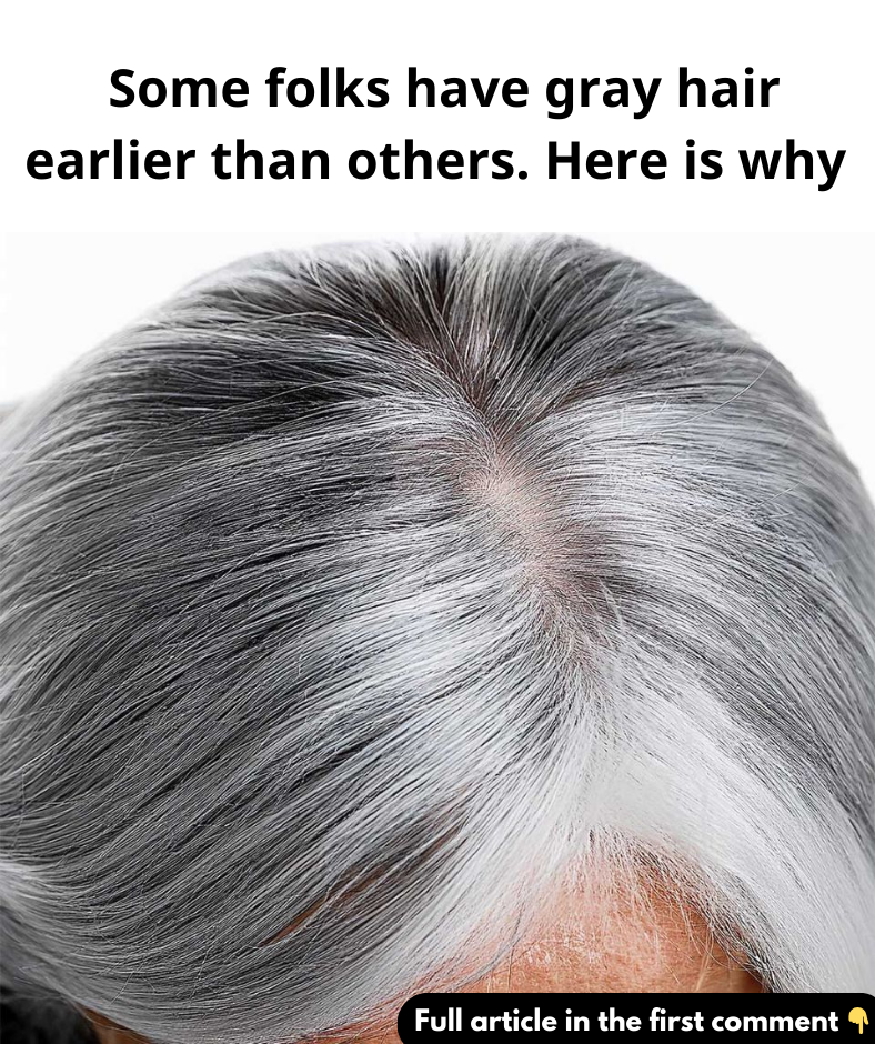 Some folks have gray hair earlier than others. Here is why?