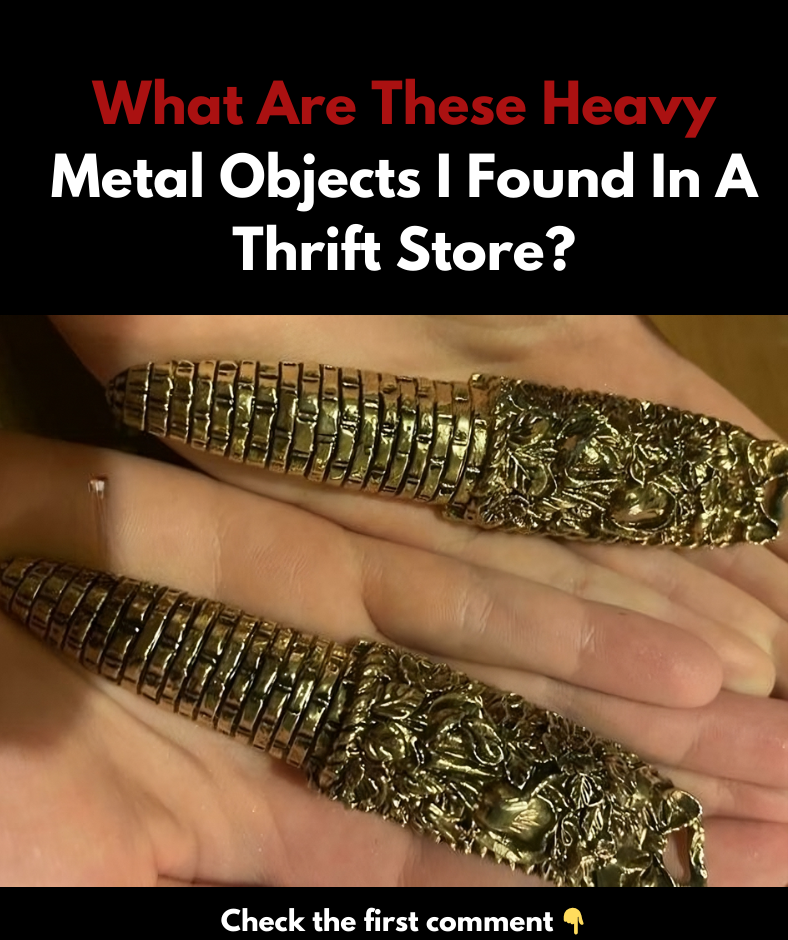 What are these dense metal items I discovered at a thrift shop?