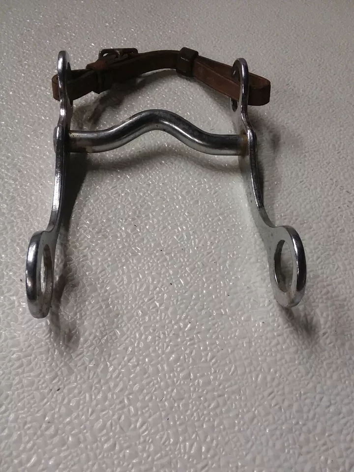 Vintage Horse Bit Collection