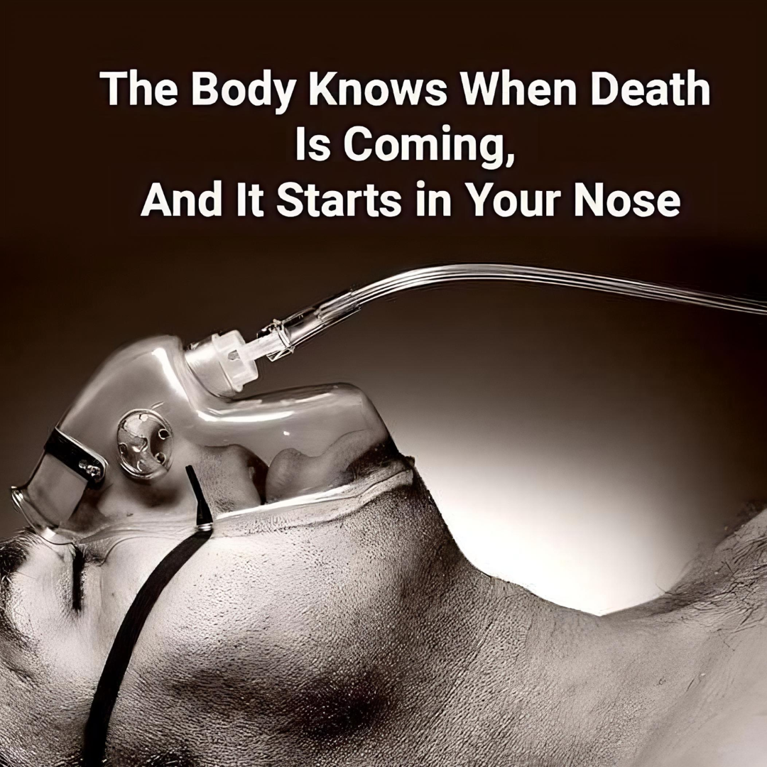 A Study Reveals: Your Body Knows When Death Is Near, And It All Begins In The Nose