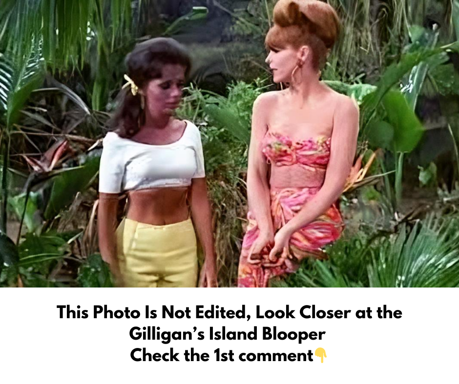 This Photo Is Not Edited, Look Closer at the Gilligan’s Island Blooper