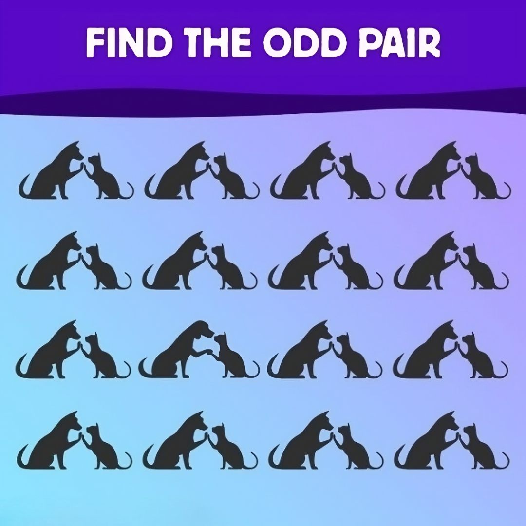 Find The Odd One Out in 12 Images to Exercise Your Brain Like a Champion