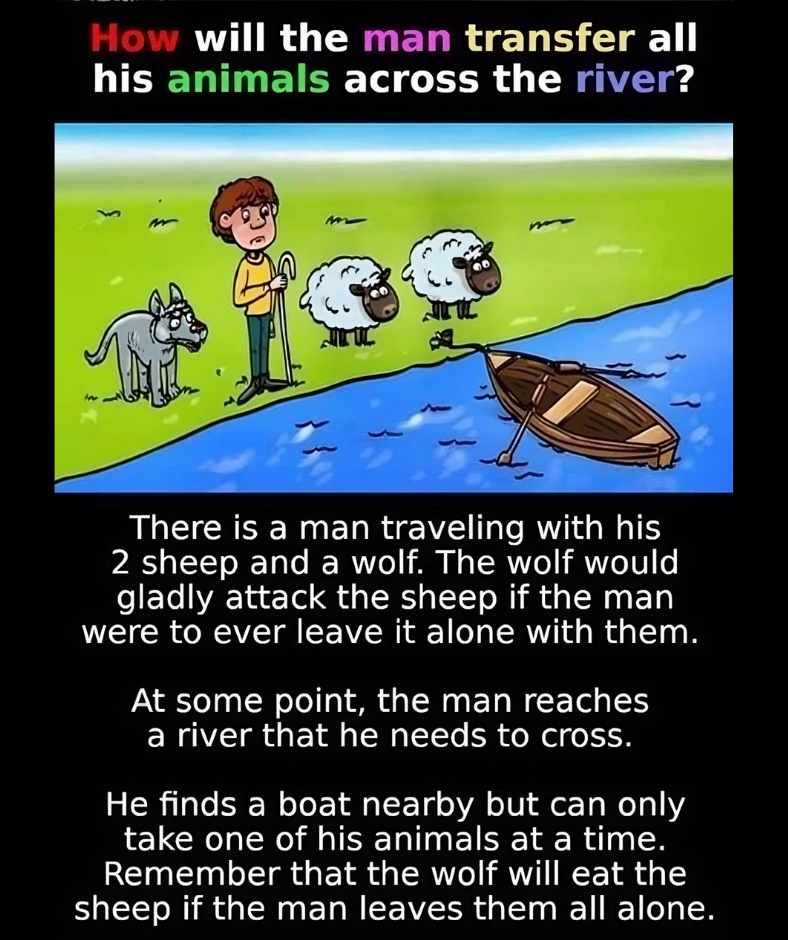 How will the man transfer all his animals across the river?