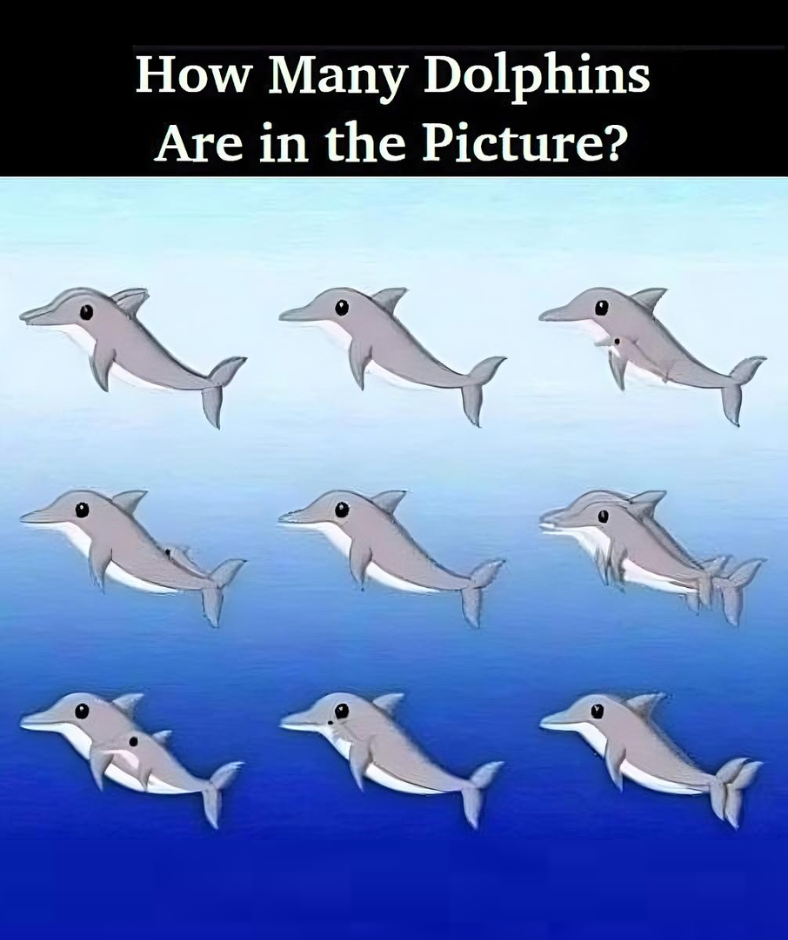 RIDDLE: How Many Dolphins Are in the Picture?