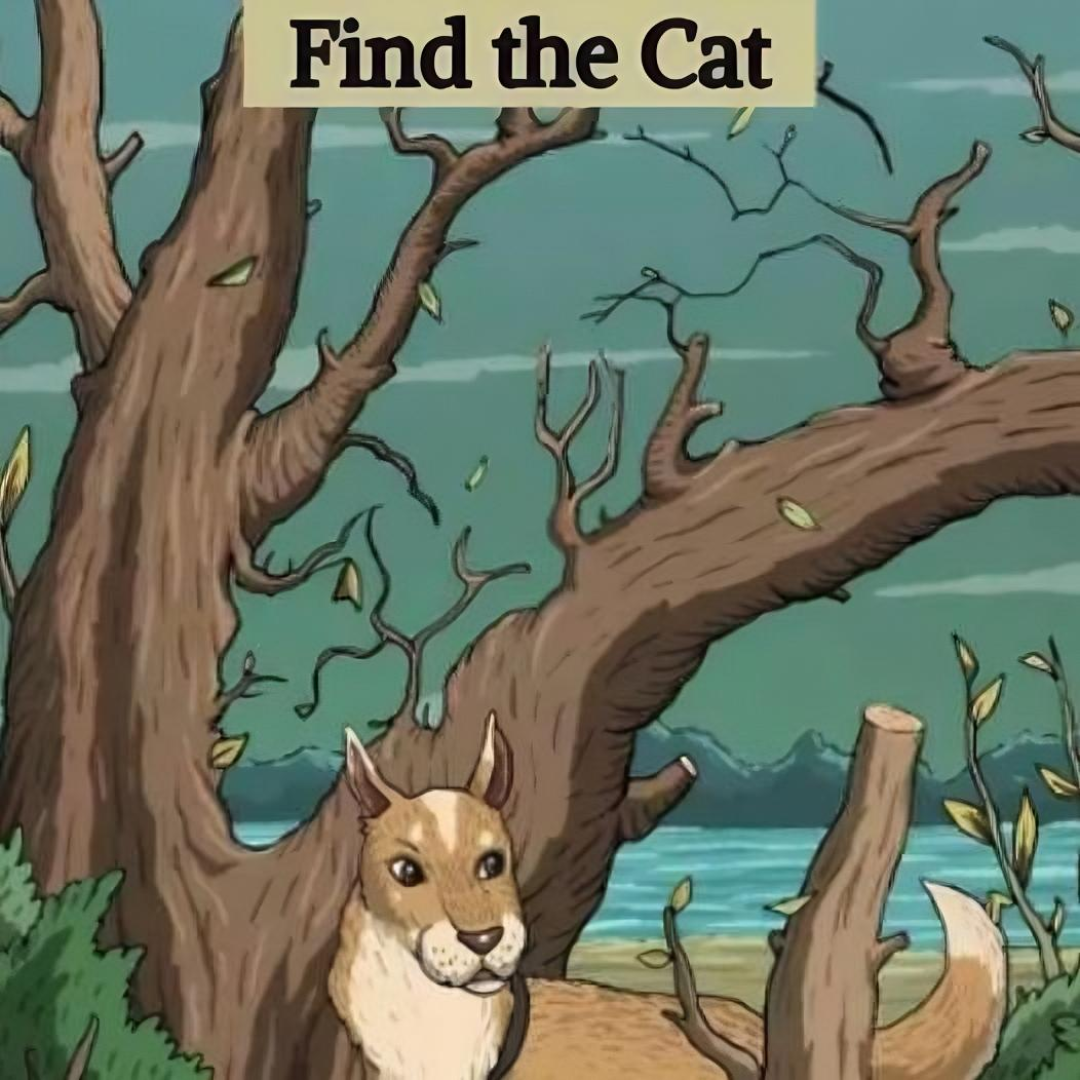 “Optical Illusion Challenge”: Find Hidden Cat in 7 Seconds