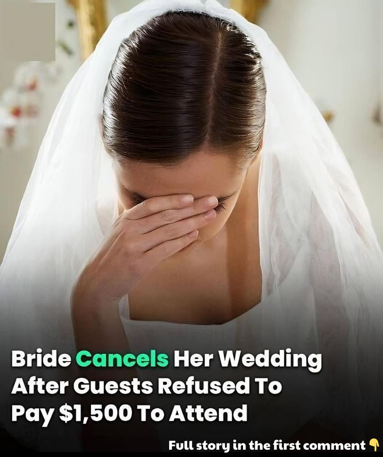 Bride Cancels Her Wedding After Guests Refused To Pay ,500 To Attend