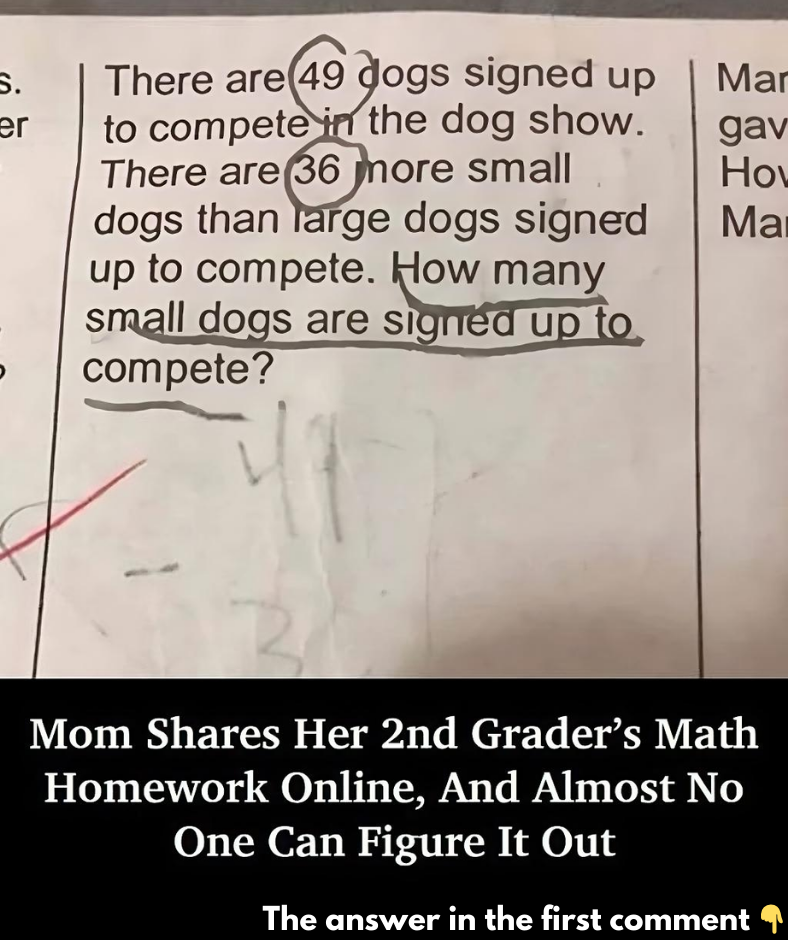 Mom Shares Her 2nd Grader’s Math Homework Online, And Almost No One Can Figure It Out – Why?