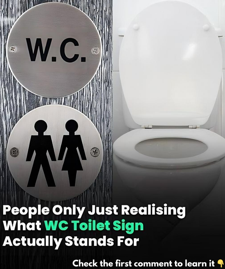 People Are Only Just Realising What WC Toilet Sign Actually Stands For