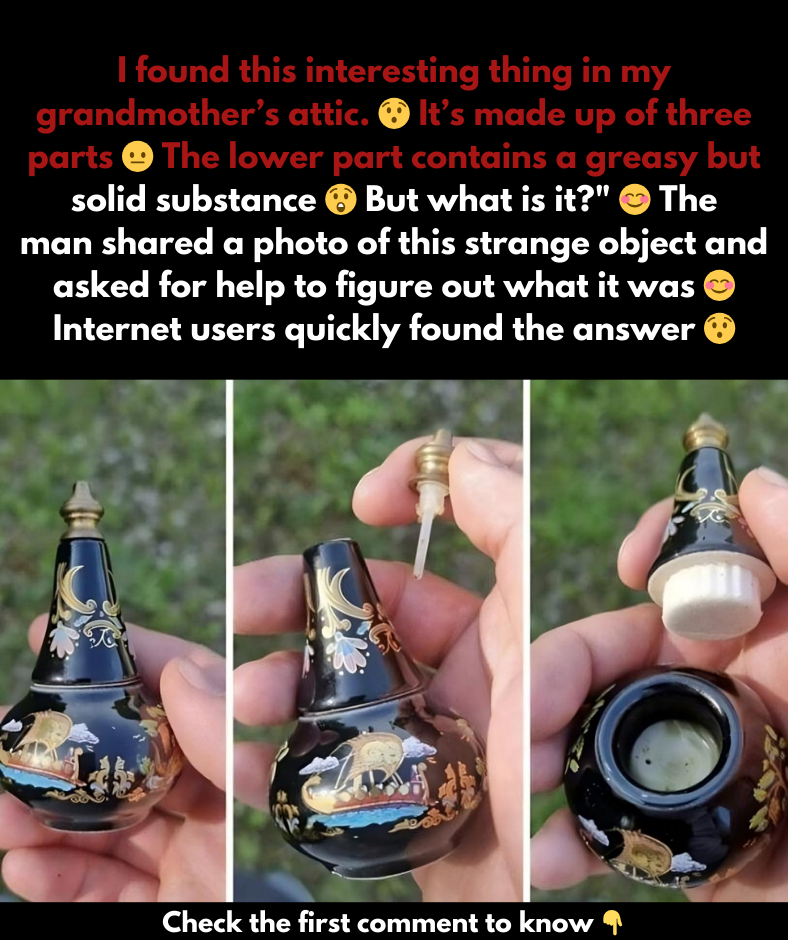 In his grandmother’s attic, a man stumbled upon an interesting object: This is what it turned out to be