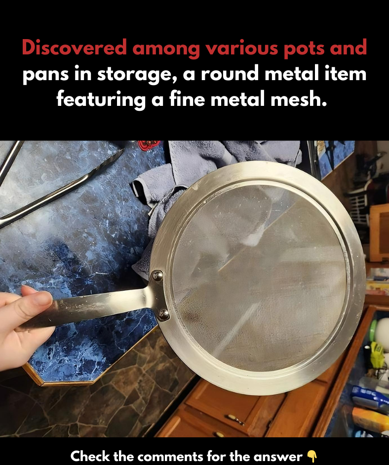 Found in a storage area with multiple pots and pans, a circular metal piece that includes a fine mesh screen.