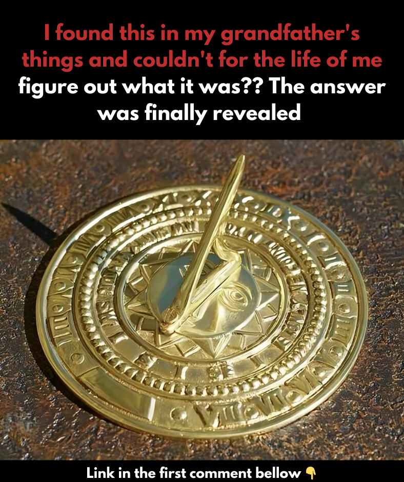 Exposing the Mysteries Behind Unusual Items