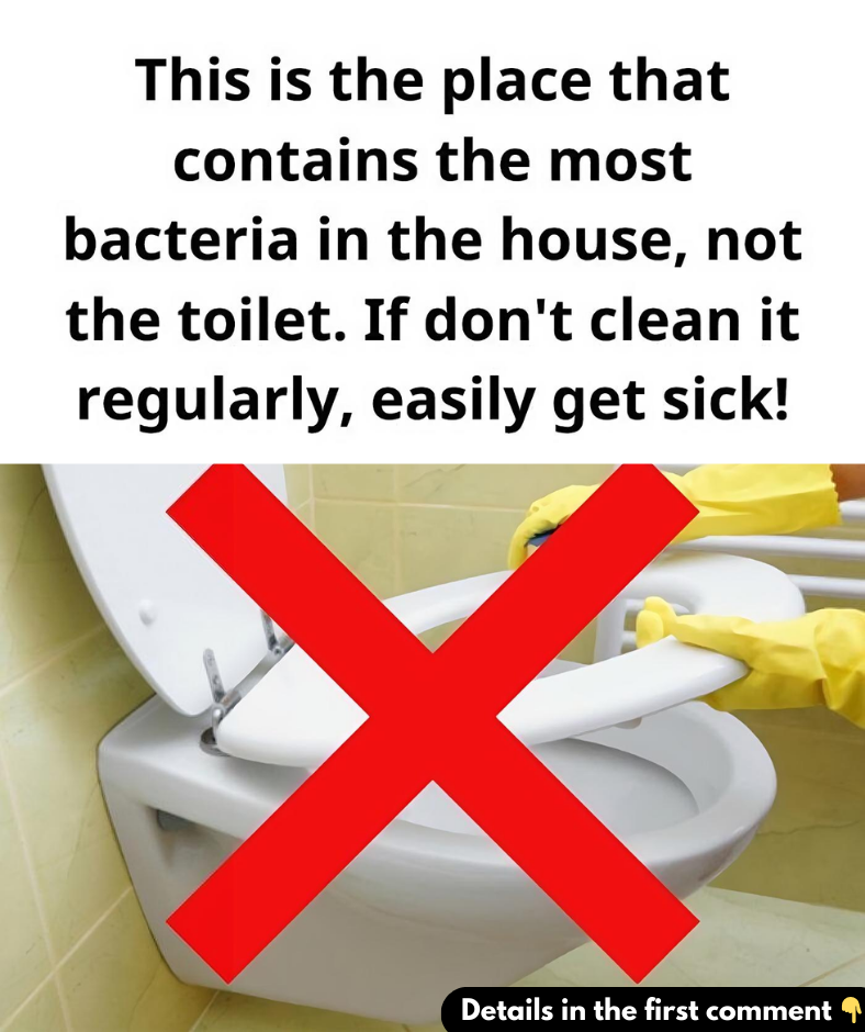 Not the toilet, this is the place with the most bacteria in the house, experts advise regular cleaning to avoid ‘inviting’ more diseases into the body