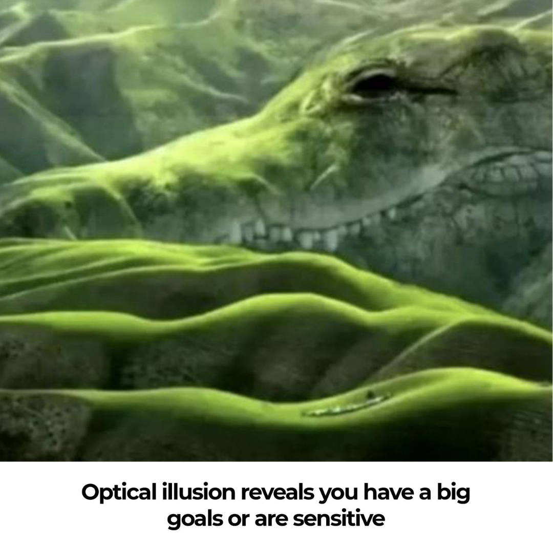 Optical illusion reveals you have a big goals or are sensitive