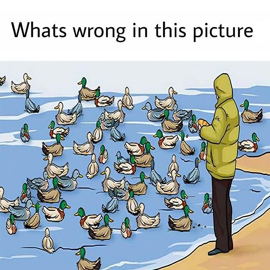 Most individuals fail to notice it, but can you find what’s incorrect in this picture?