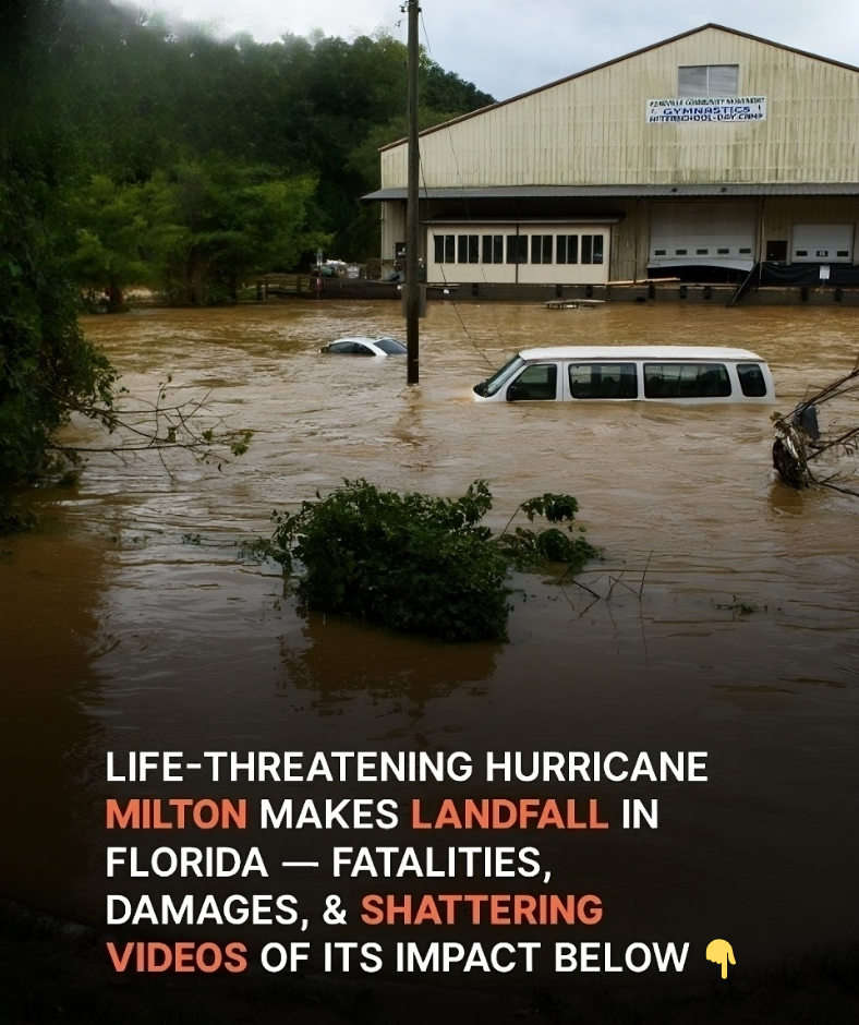 Hurricane Milton Makes Landfall in Florida