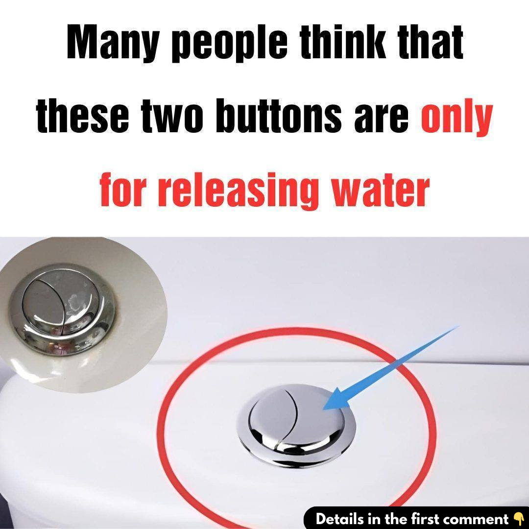 Detailed explanation of the reasons for the 2-button toilet and how to use it correctly