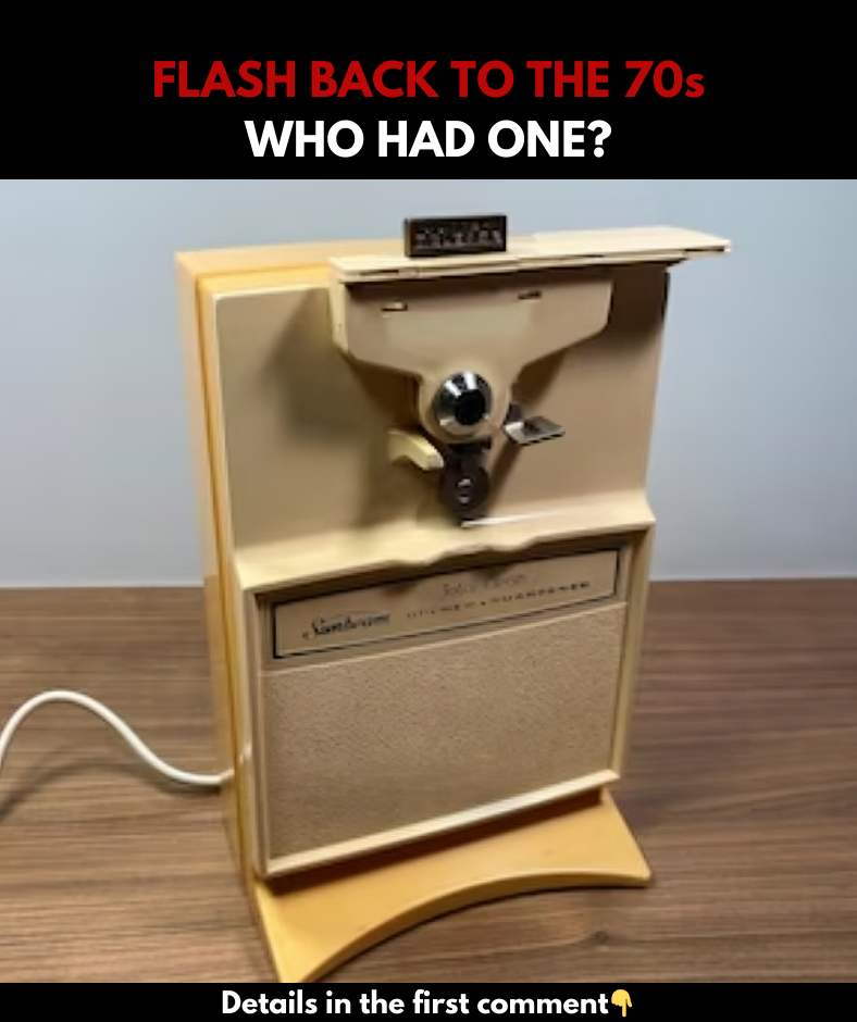 FLASH BACK TO THE 70s. WHO HAD ONE?