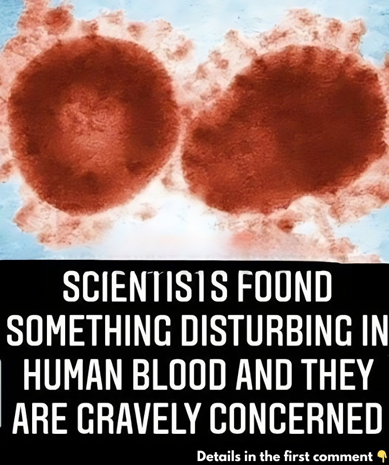 Scientists Found Something Disturbing In Human Blood And They Are Gravely Concerned