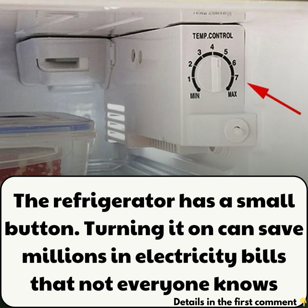 The Refrigerator’s Hidden Button: A Simple Switch to Save Millions on Electricity Bills