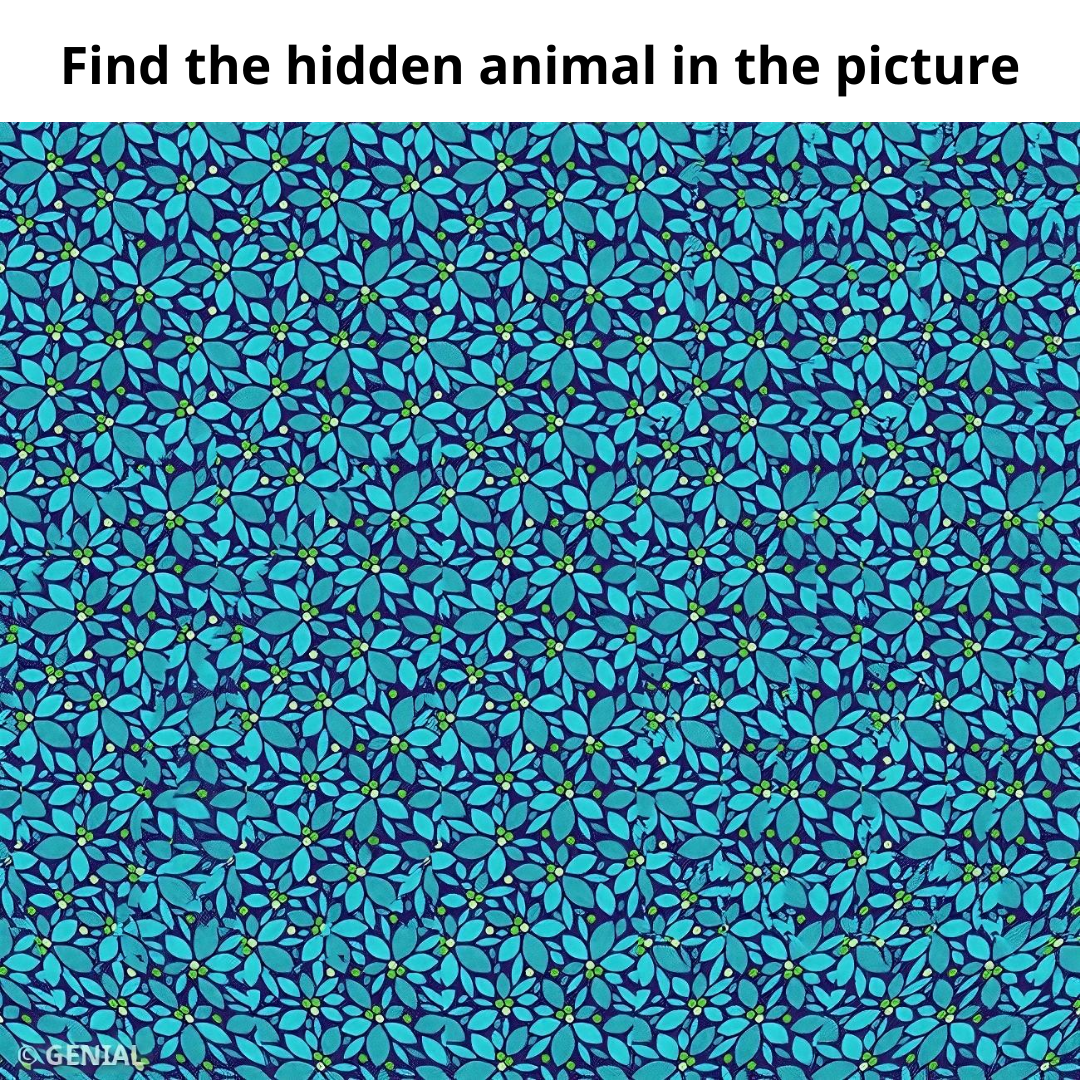 Visual Test: Can you see the hidden animals in these 10 3D optical illusion images?