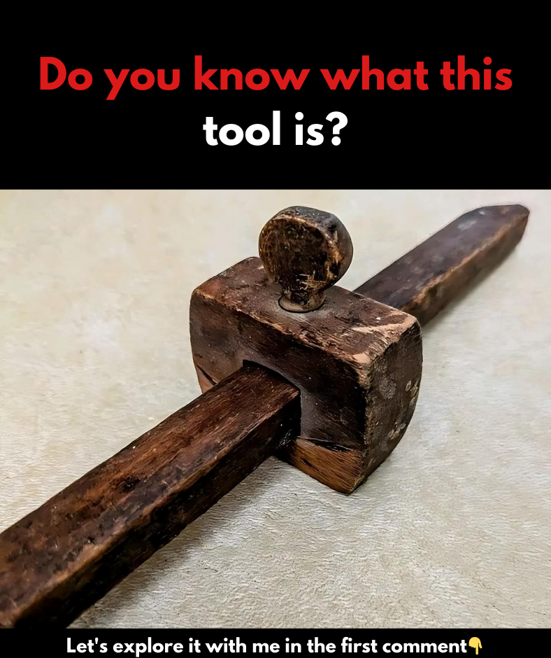 Transform Your Woodworking with This Simple Yet Powerful Tool