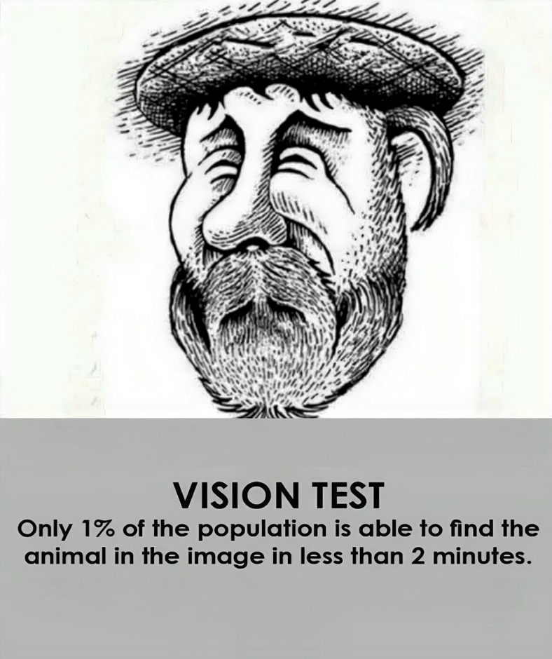 If you can spot the hidden animal in this optical illusion you’re in the top 1% – can you spot it?