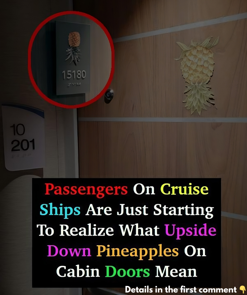 Some Cruise Ship Passengers Are Just Realizing What Upside-Down Pineapple Signs On Cabin Doors Mean