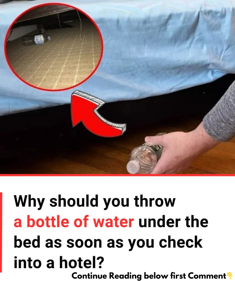 You should throw a bottle of water under the hotel bed as soon as you check in – Here’s why?