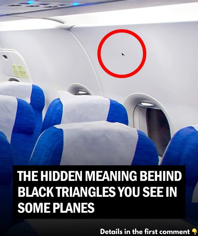 What Those Triangular Stickers on Your Airplane Seat Mean