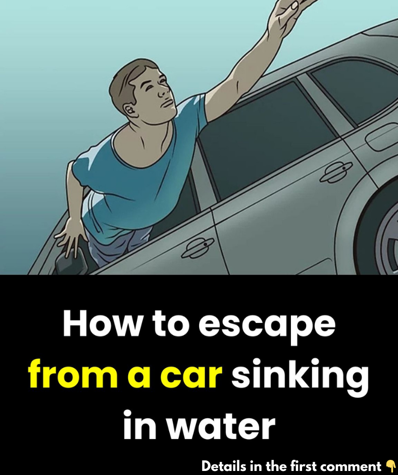 How to escape from a car sinking in water