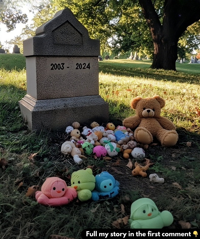 Every Day after 21-Year-Old Son’s Death, Grieving Mom Finds Baby Toys on His Grave — Story of the Day