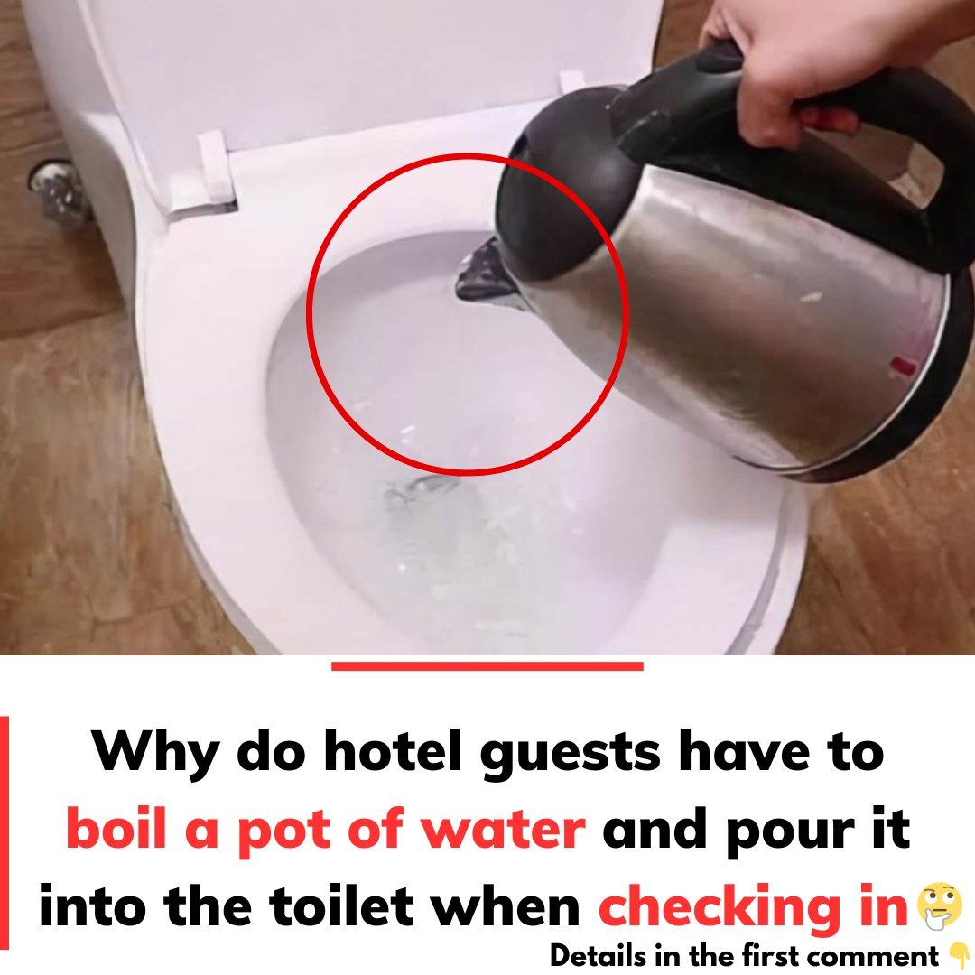 The hotel boils water and pours it into the toilet upon check-in