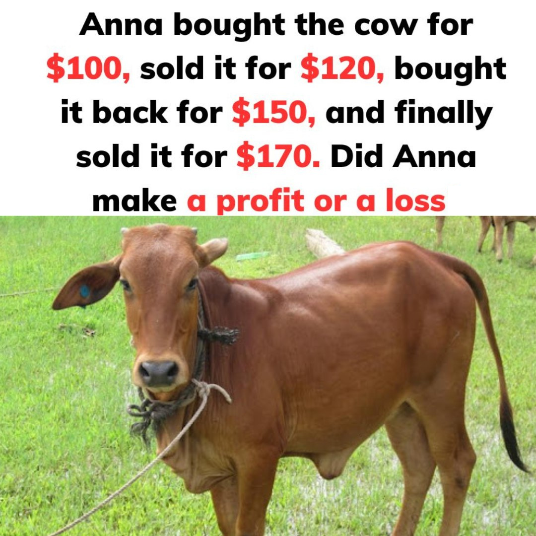 Discover the Profit Lesson from Anna’s Cow Buying and Selling Journey