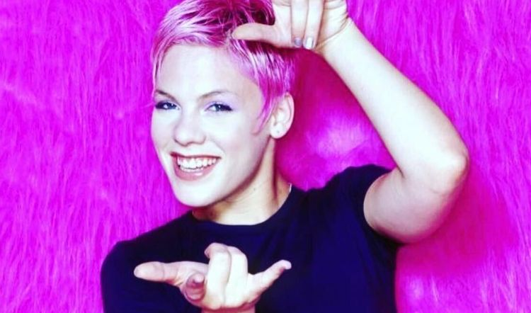 Alecia Beth Moore’s Biography: A Comprehensive Look at Her Life, Career, and Present