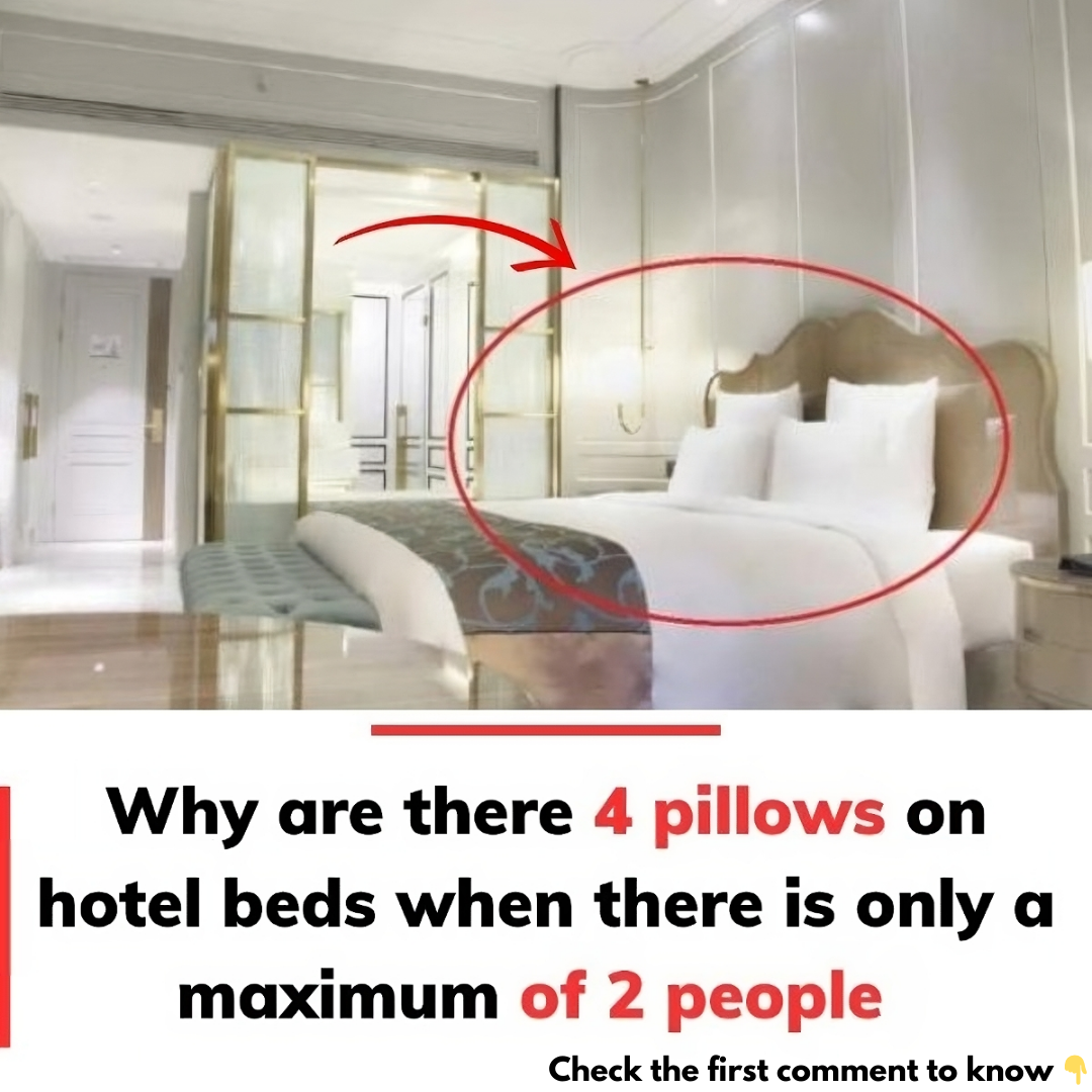 The Purpose Behind the Four Pillow Arrangement on a Hotel Bed