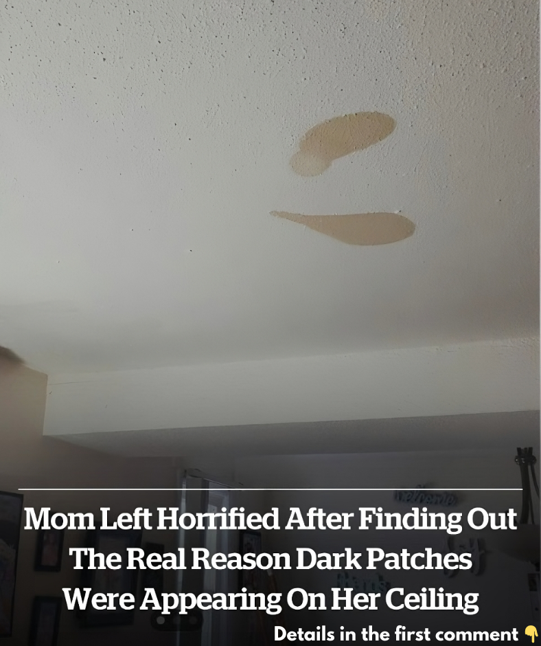 Mom left horrified after finding out the real reason dark patches were appearing on her ceiling