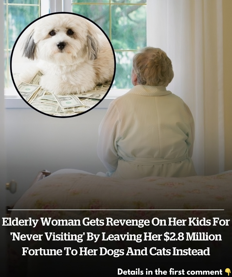 Elderly woman gets revenge on her kids for ‘never visiting’ by leaving her .8 million fortune to her dogs and cats instead